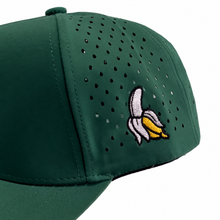 Load image into Gallery viewer, AY WHEY HAT